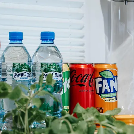 Koleba Przy Krupowkach Zakopane