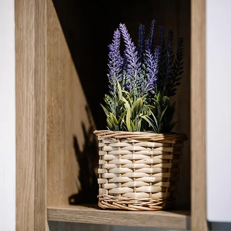 Koleba Przy Krupowkach ザコパネ