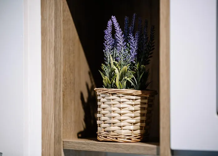 Koleba Przy Krupówkach Zakopane